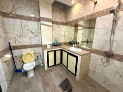 Changi Road (D14), Semi-Detached #467207291
